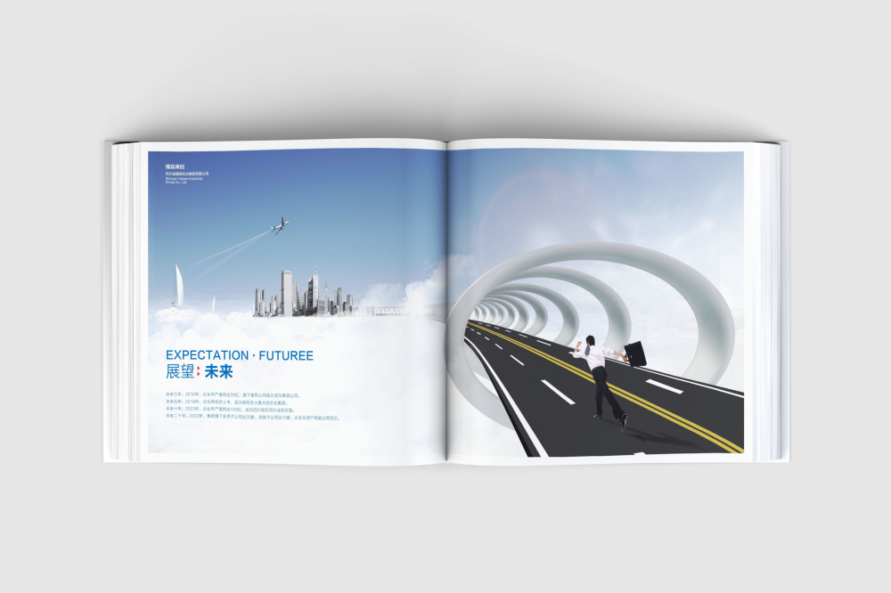 双湖县画册设计